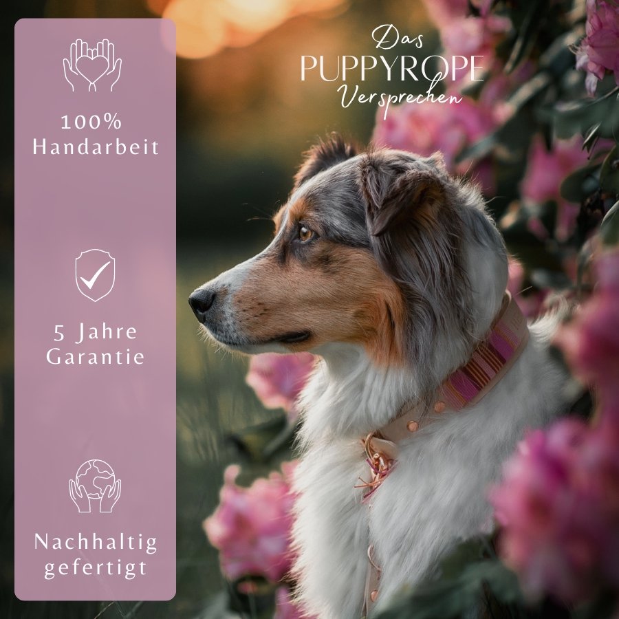 Halsband Mila - Design it yourself - DIES HUND DAS by PUPPYROPE