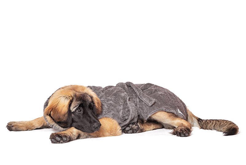 Hundebademantel Bio-Baumwolle "Stone Grey" - PUPPYROPE MANUFAKTUR®