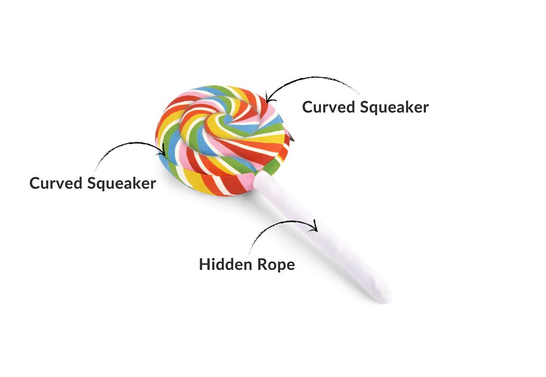 Hundespielzeug Lollipup - PUPPYROPE MANUFAKTUR®