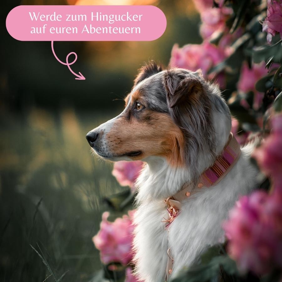 Set Wilma Double - Rose Garden - DIES HUND DAS by PUPPYROPE