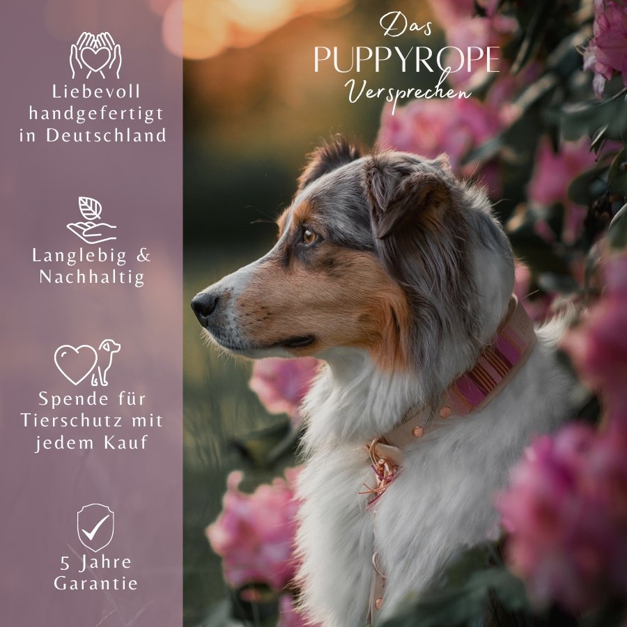 Set Wilma Double - Rose Garden - DIES HUND DAS by PUPPYROPE