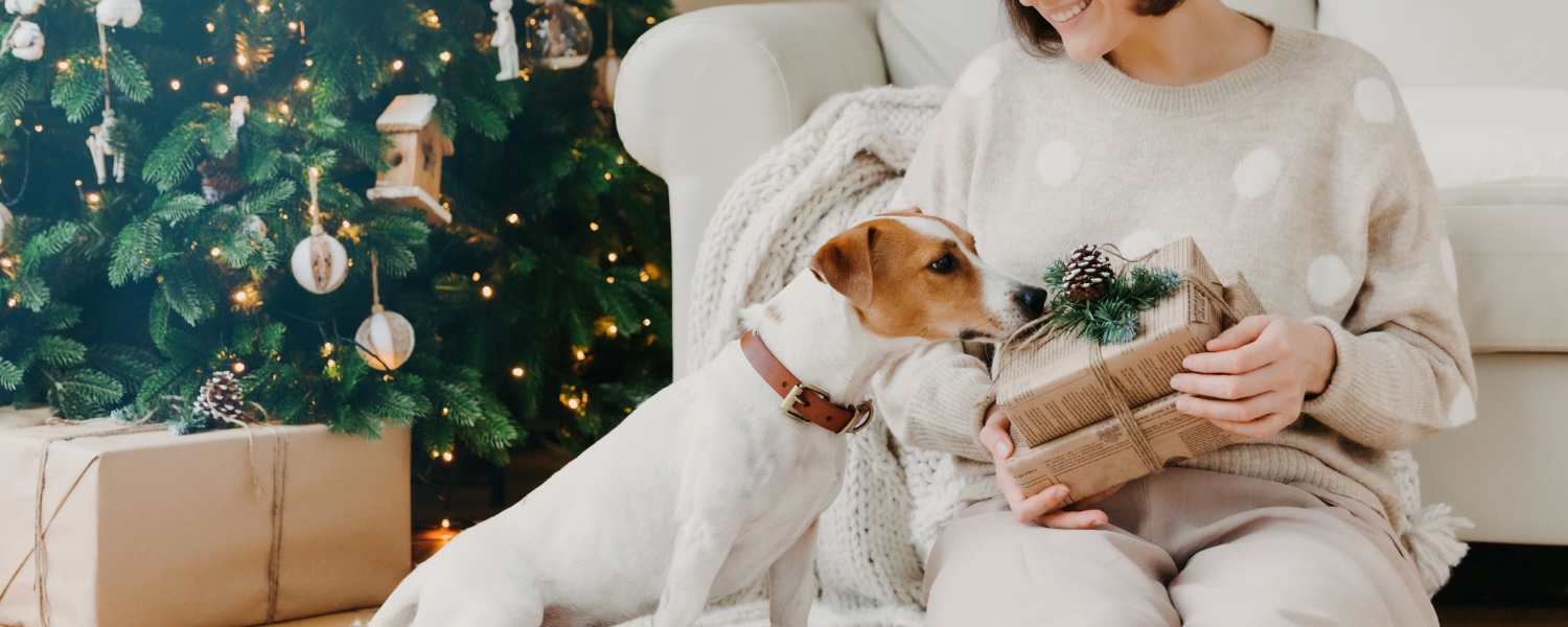 Geschenkideen für Weihnachten für deinen Hund Kategoriebanner